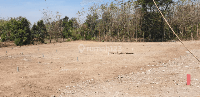 Tanah Kavling lokasi Mojoanyar Mojokerto 1