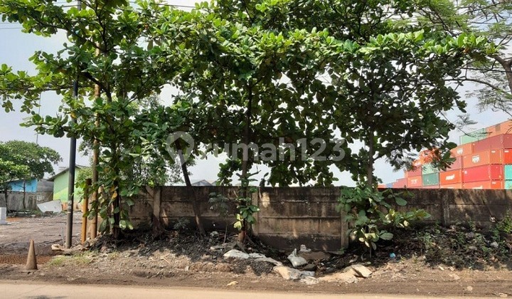 Tanah Dibawah NJOP di Jalan Kampung Rorotan Cilincing Jakarta Utara