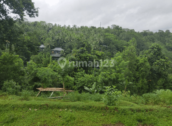 LAND WITH CHARMING VIEW TEGALALANG UBUD LOCATION 2