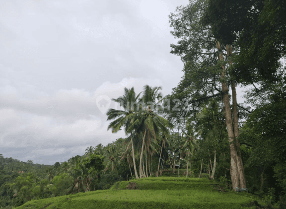 LAND WITH CHARMING VIEW TEGALALANG UBUD LOCATION 1