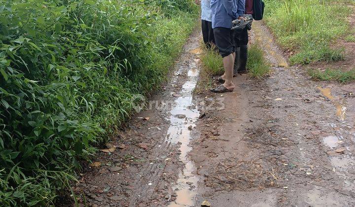 Lahan industri murah siap bangun di jepara jawa tengah 1