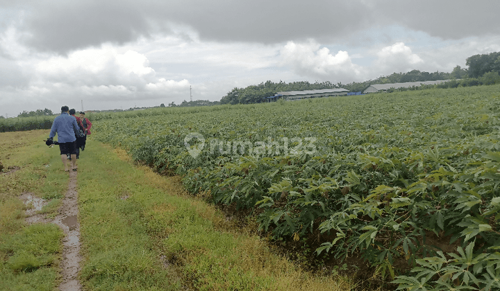 Lahan industri murah siap bangun di jepara jawa tengah 1