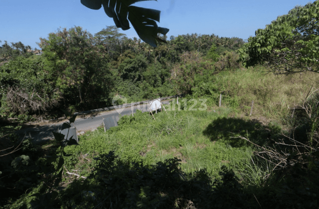 LAND WITH A VERY STRATEGIC AND RARE LOCATION IN KEMENUH UBUD 1