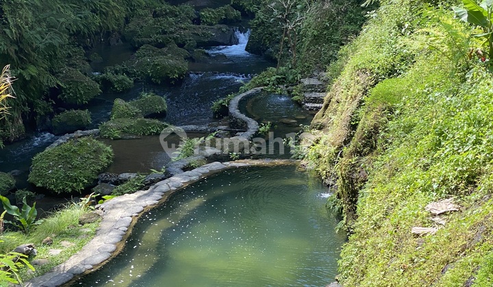 TANAH SUPER MURAH FULL VIEW SUNGAI JUNGGLE GUNUNG Tanah sudah tertata rapi