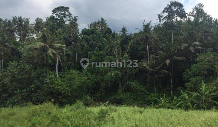 PREMIUM LAND AT CHEAP PRICES IN MAWANG UBUD 1