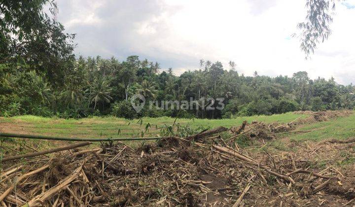 PREMIUM LAND AT CHEAP PRICES IN MAWANG UBUD 2