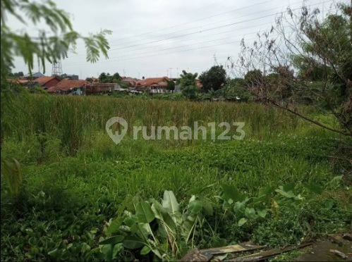 Ipik Gandamana Mainroad Harga Nego