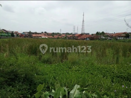 Ipik Gandamana Mainroad Harga Nego