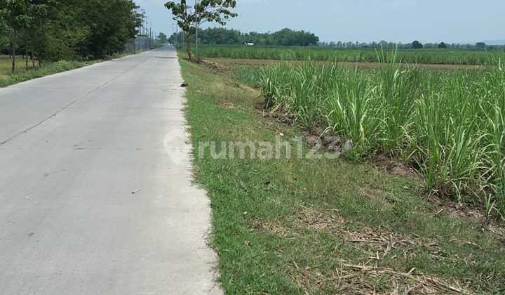 TANAH INDUSTRI KEMLAGI MOJOKERTO TANAH INDUSTRI KEMLAGI MOJOKERTO