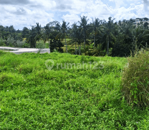 Tanah Viee Jungle Lembah Sawah Keren. Lingkungan Villa 1