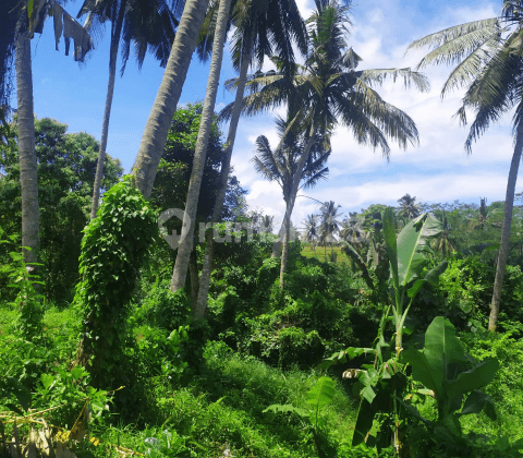 Tanah Viee Jungle Lembah Sawah Keren. Lingkungan Villa 2