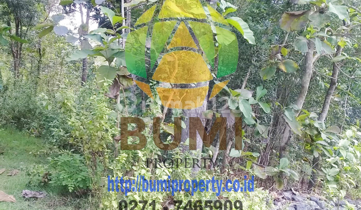 Dry land located in Manyaran, Wonogiri. Dry land located in Manyaran, Wonogiri.