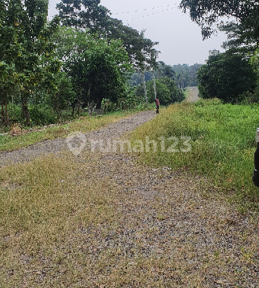 Tanah matang siap Bangun Akses sendiri Pinggir jalan Raya