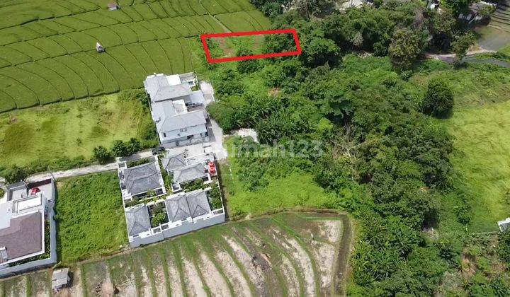 PREMIUM LAND IN THE BERAWA BEACH AREA - CANGGU BALI (ANGGREEK). 2