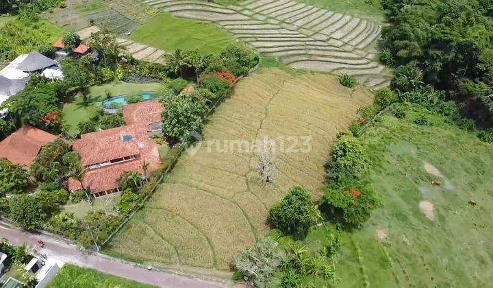 PREMIUM NAN TERRASERING LAND IN CANGGU - BALI LAND AREA (JL. PURA GEDE BATUR). 2