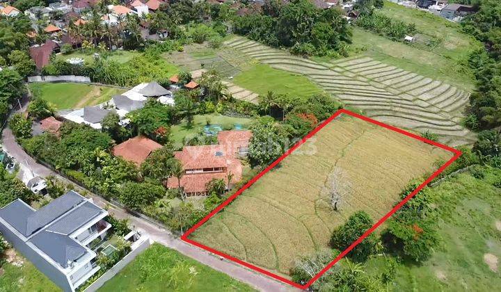 PREMIUM NAN TERRASERING LAND IN CANGGU - BALI LAND AREA (JL. PURA GEDE BATUR). 1