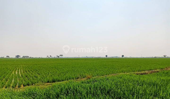 lahan Cocok untuk cluster atau perumahan tambelang bekasi 2