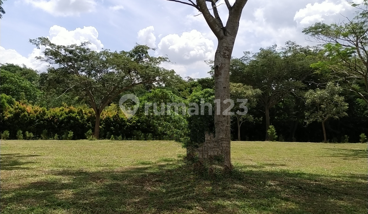 Avani Plot Body 250m2 Land Get 2 Views 9.3 million