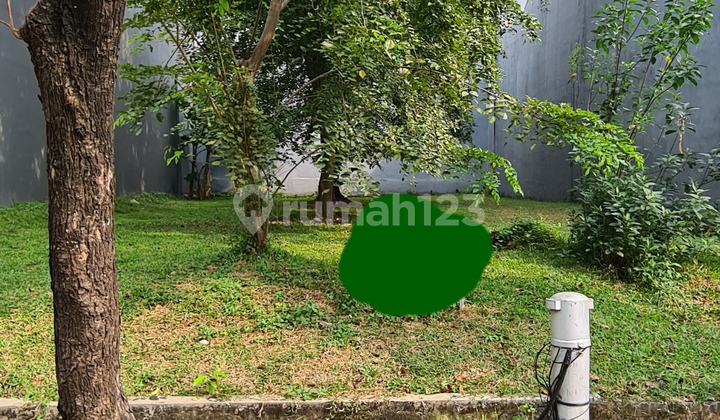 CYNTHIA Kavling 17x32.5 di PIK CYNTHIA Kavling 17x32.5 di PIK