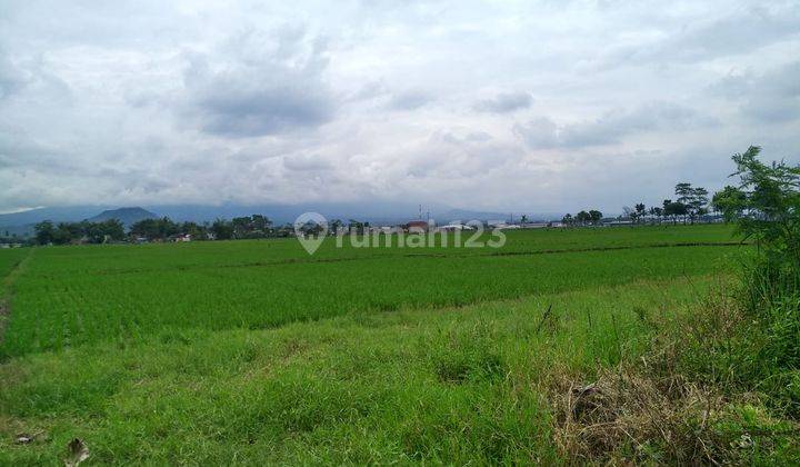 Tanah Plot Industri di Di Pakisaji Malang 1