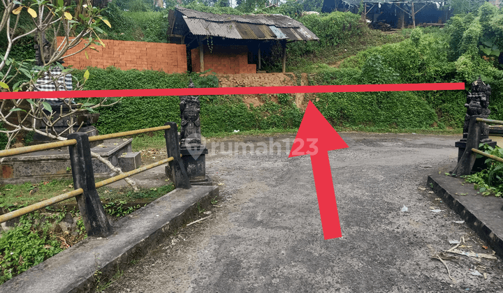 Tanah lokasi strategis cocok untuk kandang ayam 1