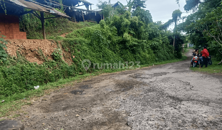 Tanah lokasi strategis cocok untuk kandang ayam 2