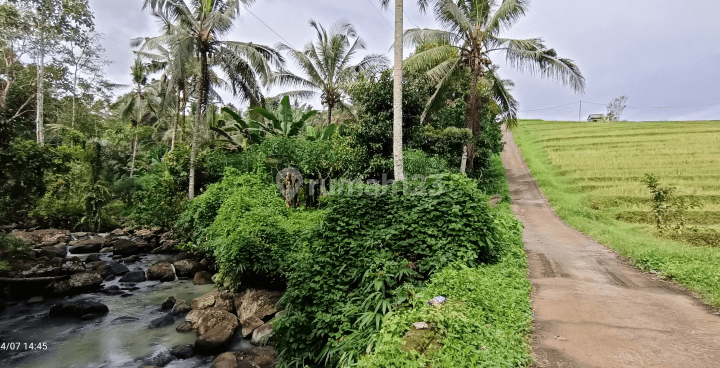 Tanah view sungai dan sawah dekat villa Galalima Glamping Bali 1