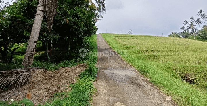 Tanah view sungai dan sawah dekat villa Galalima Glamping Bali 2