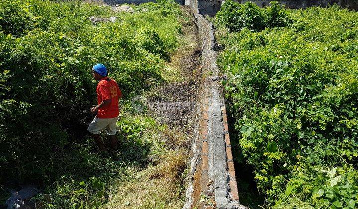 TANAH MURAH SIAP BANGUN DI PULAU MOYO SESETAN 2