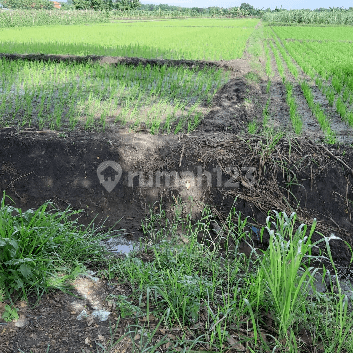 Tanah Industri Driyorejo 1