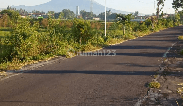 TANAH SUPER ISTIMEWA DI PRAMBANAN 1