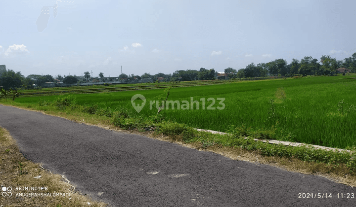 Tanah Murah di Prambanan 1