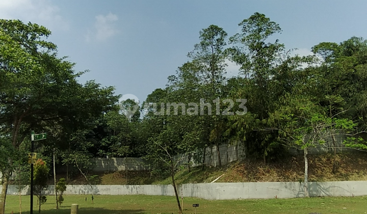 Lot 11 million Vanya Park Half Tusa