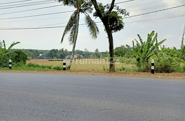 Tanah Komersil Dipinggir Jln Raya Subang Jawabarat 1