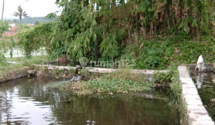 Kolam Utk ViLLa /Usaha JaLan Raya By Pass Cipanas Baru 1