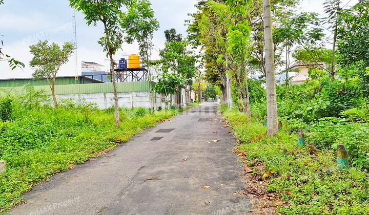 Tanah Luas Harga Murah di Bukit Dieng Tersedia 2 Kavling.