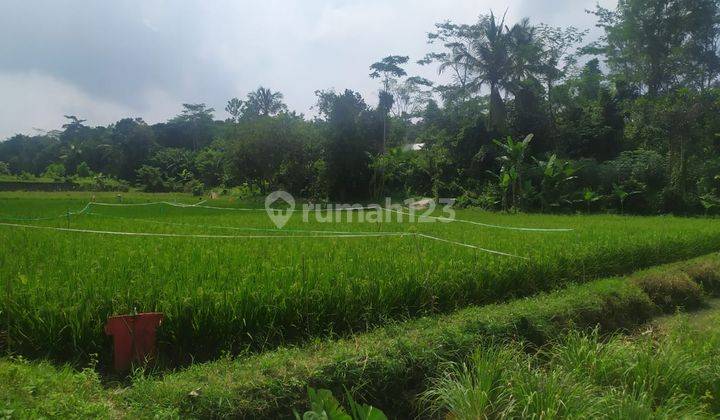 Tanah Sawah Tembong Cipocok Jaya 1