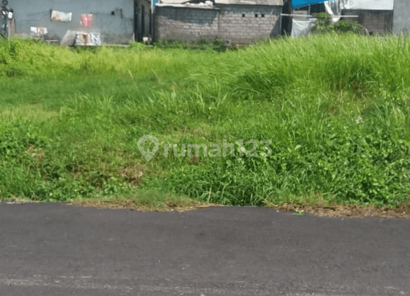 Land for rent in Denpasar City Center, Bali 2