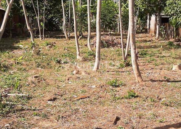 Tanah Siap Bangun Bisa Untuk Perumahan di Dekat Sekolah Internasional Salatiga 2