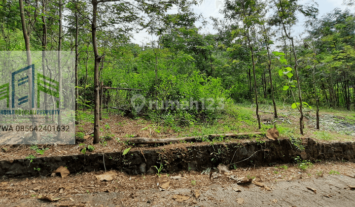 Tanah murah di kepoh sambi boyolali 1