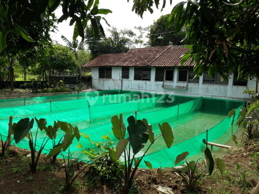 Tanah parung pabuaran kemang, kebun dan kolam ikan ada 42 kolam msh produktif, luas 7485m2 Bogor 2