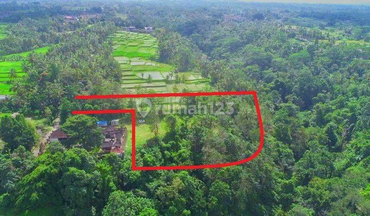 LAND IN SOUTH UBUD WITH RIVER VIEW 2