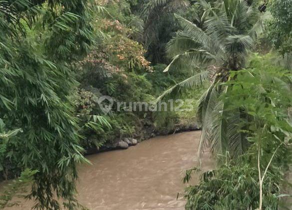 LAND IN SAYAN SOUTH UBUD 1