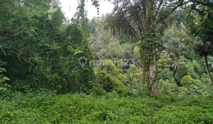 LAND IN TEGALLALANG SOUTH UBUD VALLEY &amp; RIVER VIEW 1