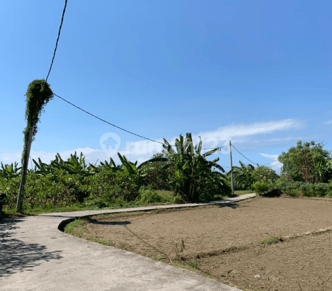 Land with sea and rice field view in Ktewel suitable for villas and investment 1