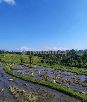 Land with super cool view of mountains, rice fields and valleys 1