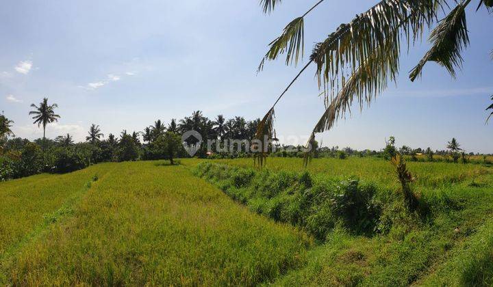 TANAH 7.5 Ha TUKAD AYUNG PETANG BAWAH BADUNG BALI 2