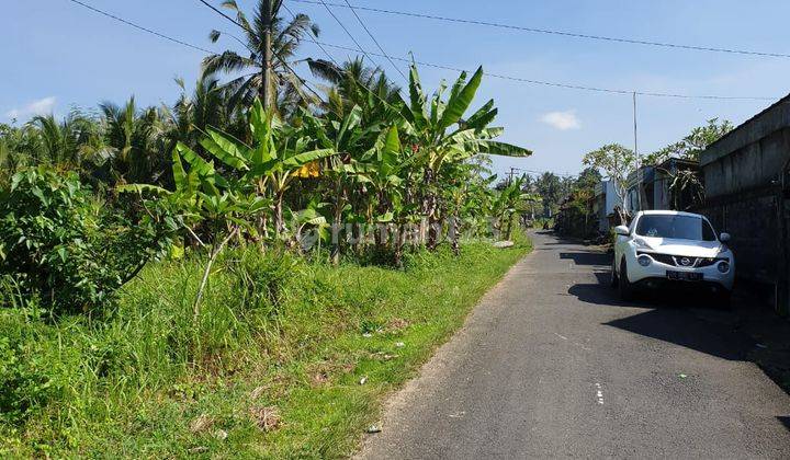 TANAH MURAH DI CARANGSARI PETANG BAWAH BADUNG BALI 1