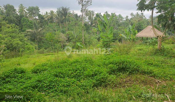 L – 2017-Rare Ubud Commercial Opportunity Huge Plot Of Freehold Land – Pupuan, Tegalalang, Ubud 2