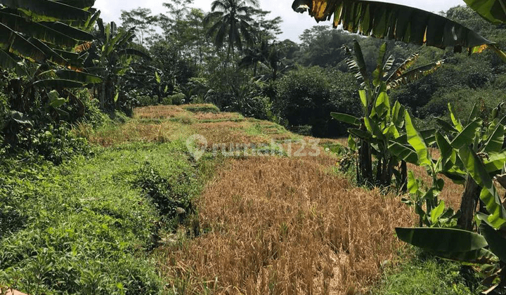 Tanah  kosong view alam dan sungai untuk villa dan wisata Baturaden Purwokerto 2